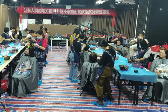 茶氏家族植物护发项目